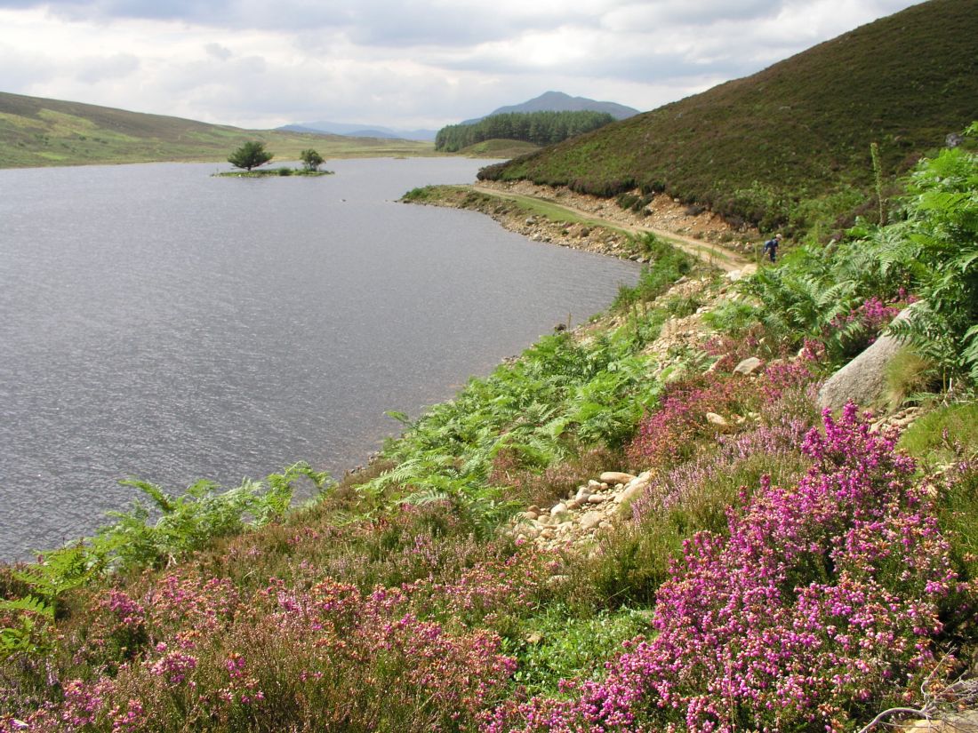 Walking in Scotland